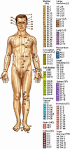Acupuncture Points: Front View