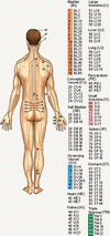 Acupuncture Points: Side View
